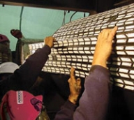 conveyor belt