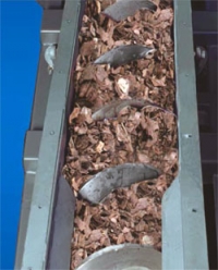 conveyor belt