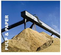 belt cleaners, conveyor belt