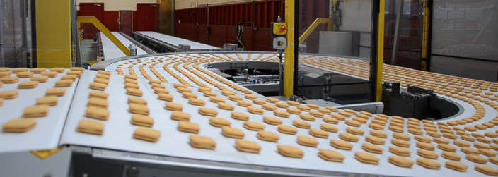 ASGCO Light Duty Conveyor Belting Biscuit on Conveyor